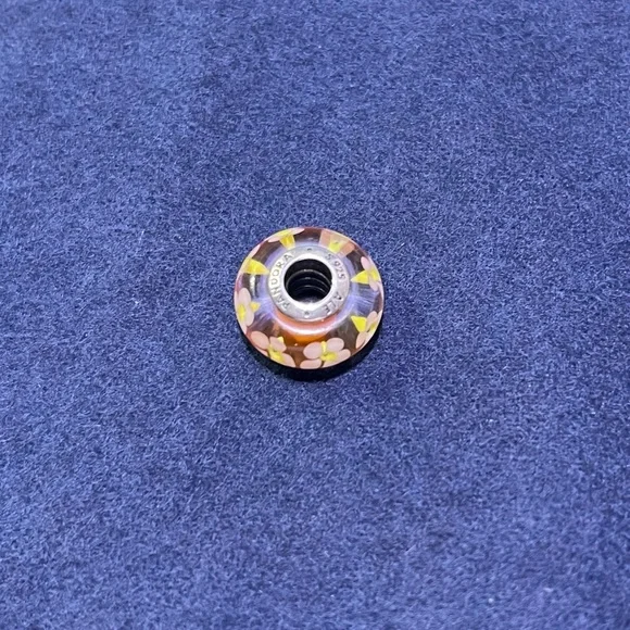 Pandora Moments Charms (Retired) - Picture 6 of 6